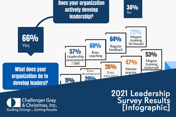 Featureimage Leadershipinfographic