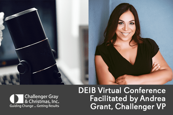 DEIB Grant